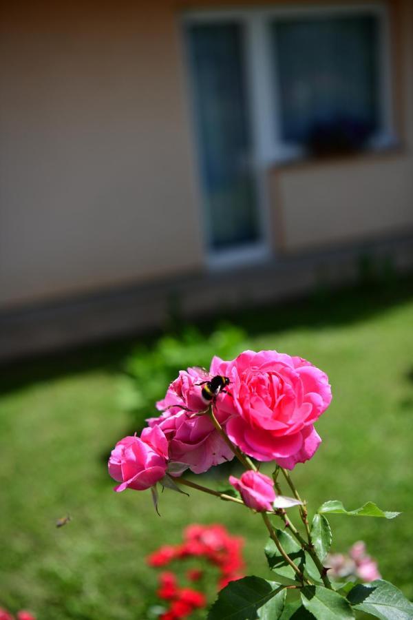 Apartman Dorijan Rakovica Dış mekan fotoğraf